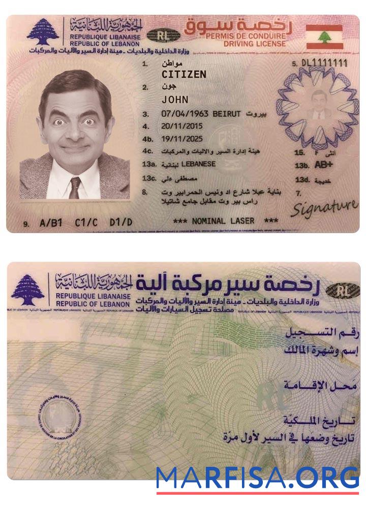 Printable Lebanon driving license version 2 real example